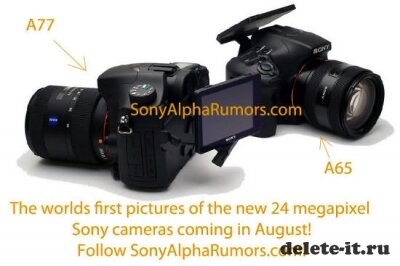   Sony Alpha A77  A65   