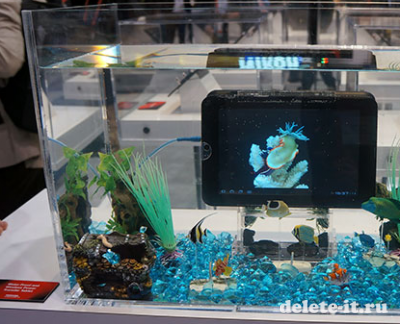 CES 2012: Водонепроницаемый планшет от Toshiba